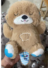 Load image into Gallery viewer, Cuddly Otter