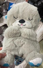 Load image into Gallery viewer, Cuddly Otter